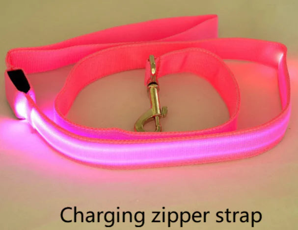 LED Dog Leash