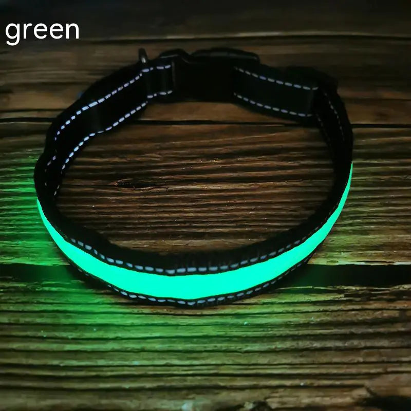 LED Dog Collar