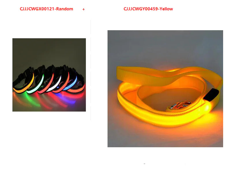 LED Dog Leash