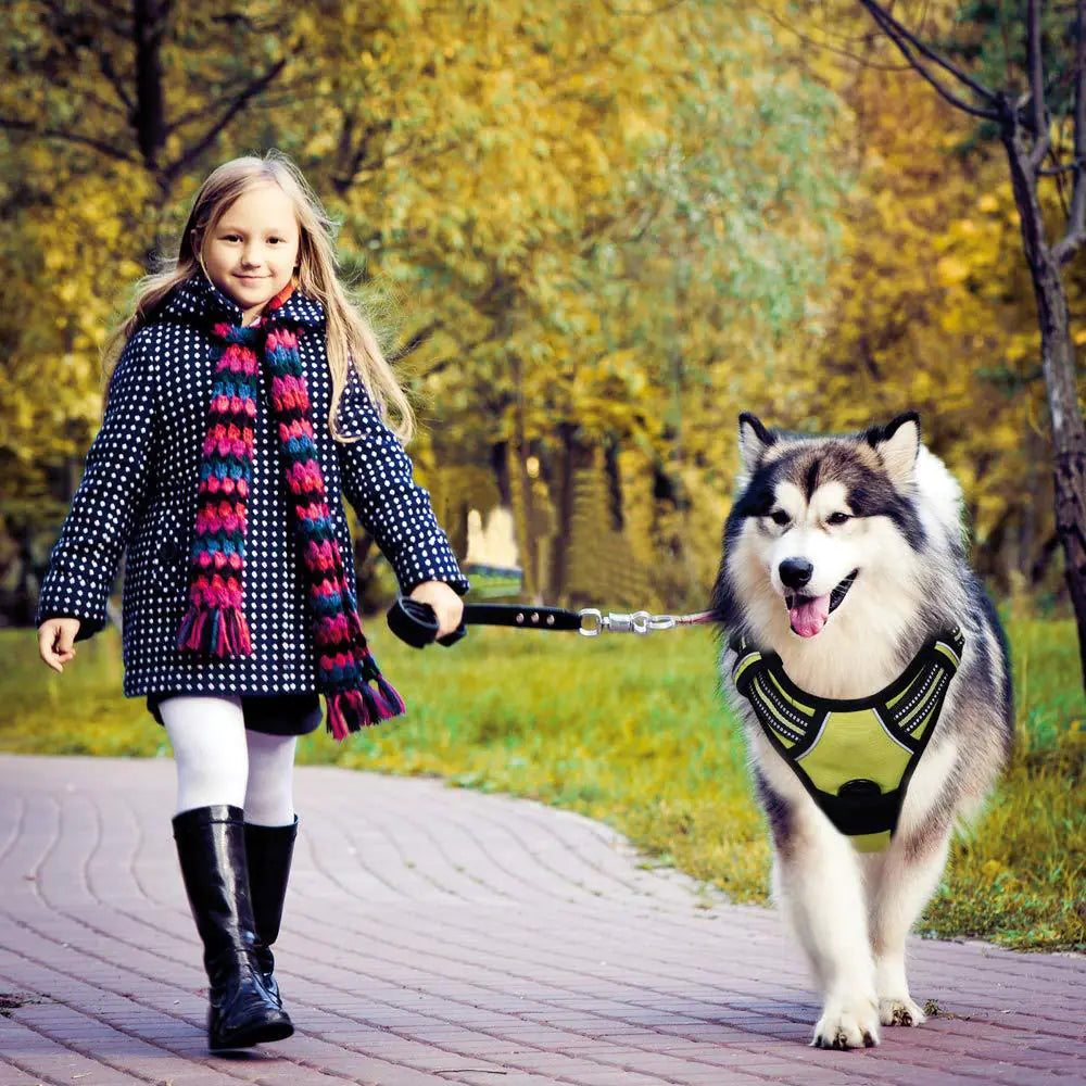 Reflective Dog Harness with Leash