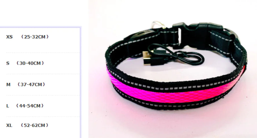LED Dog Leash
