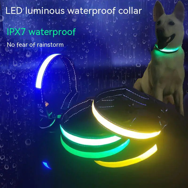 LED Dog Collar