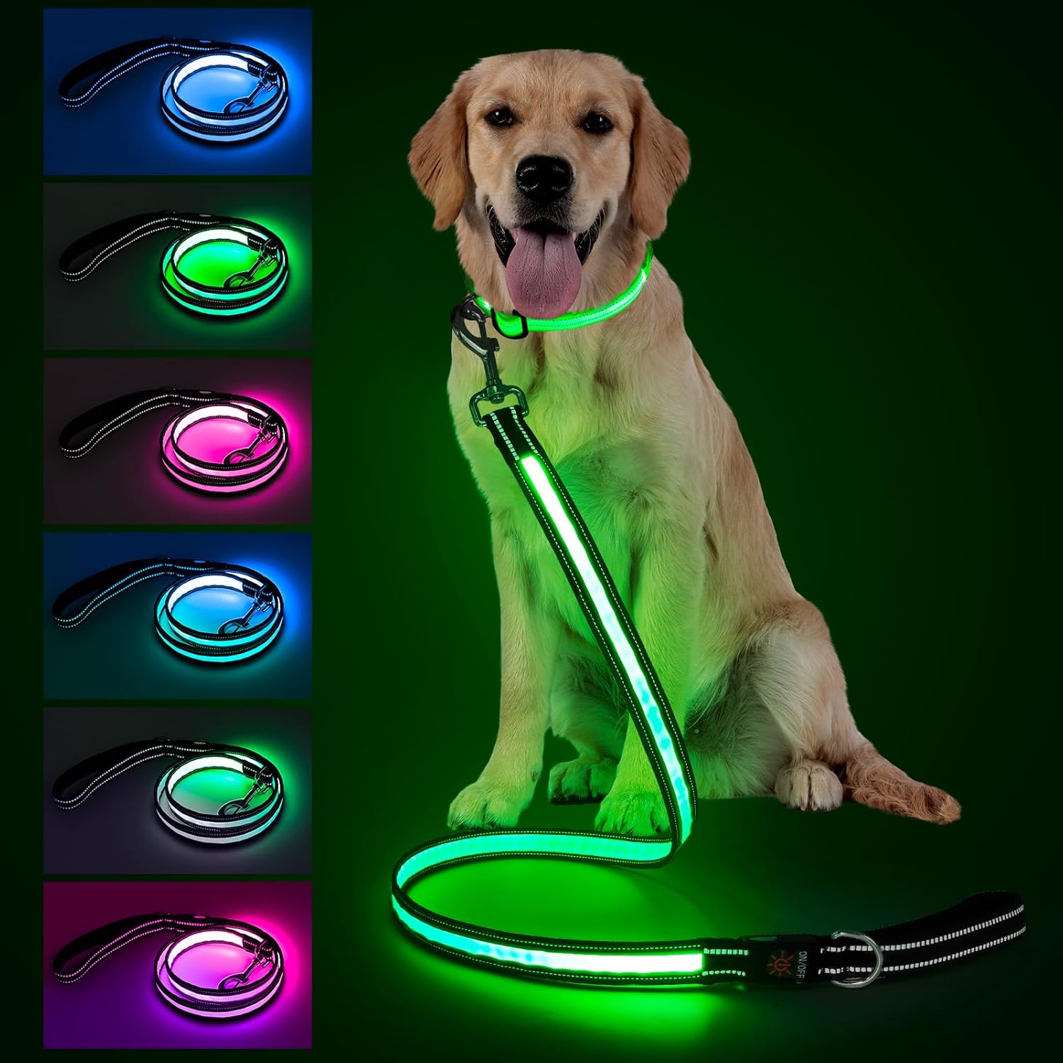 LED Dog Leash