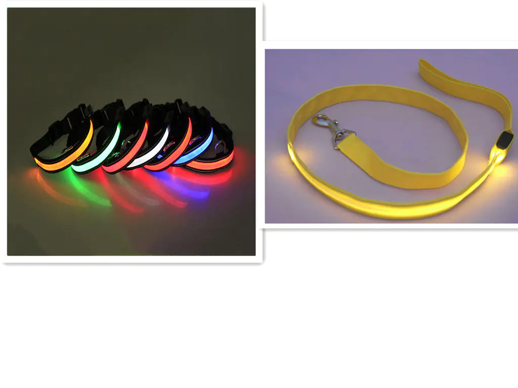 LED Dog Leash