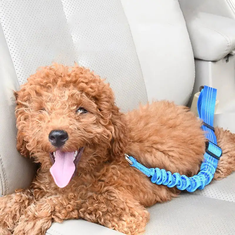 Elastic Dog Car Seat Belt Traction Rope