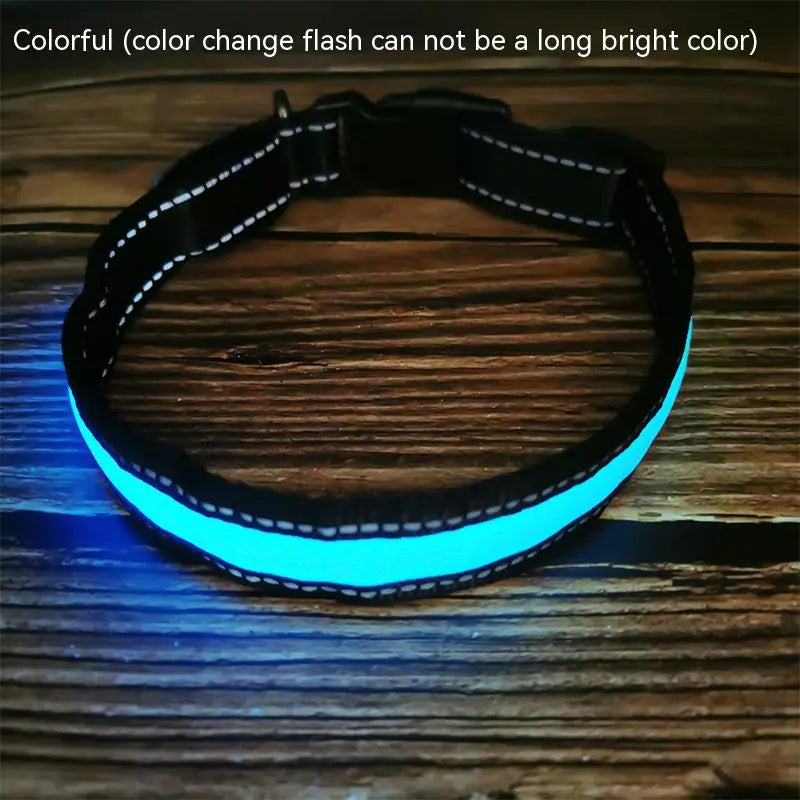 LED Dog Collar