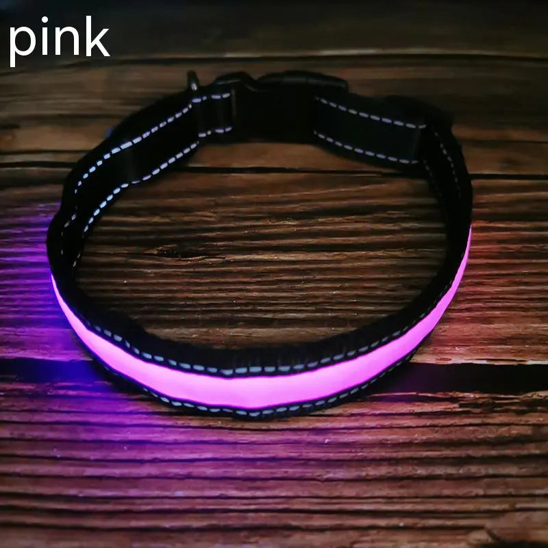 LED Dog Collar