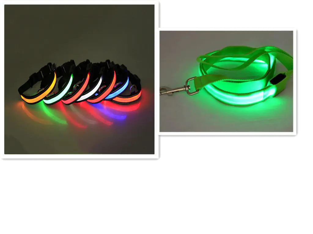 LED Dog Leash