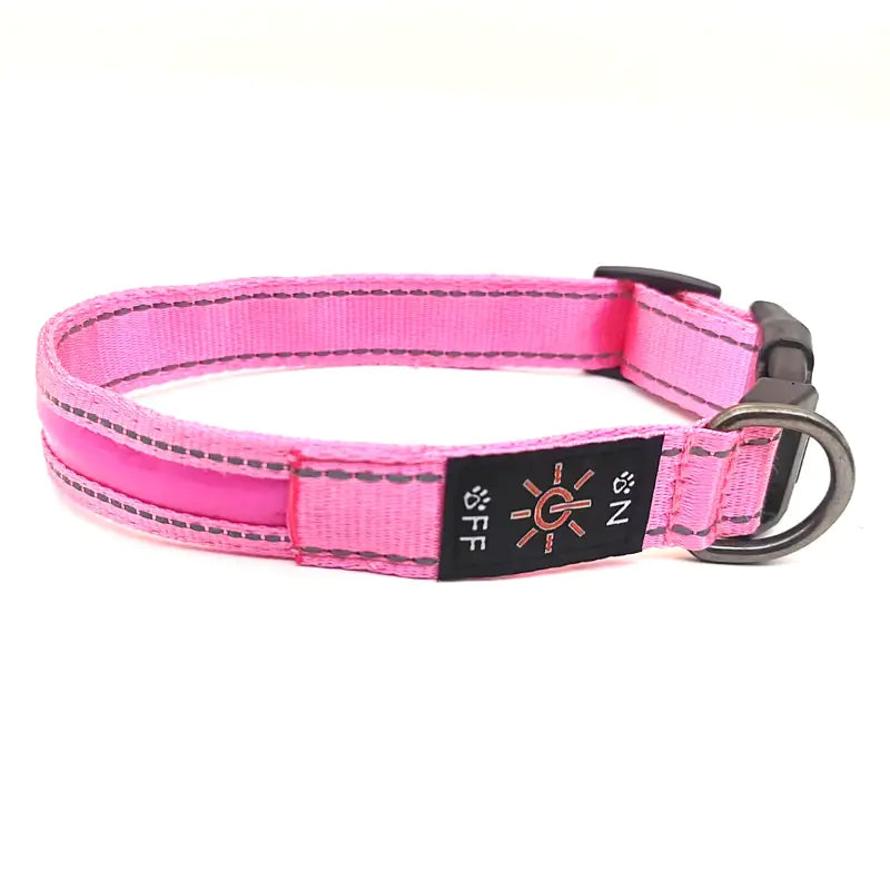 LED Dog Collar