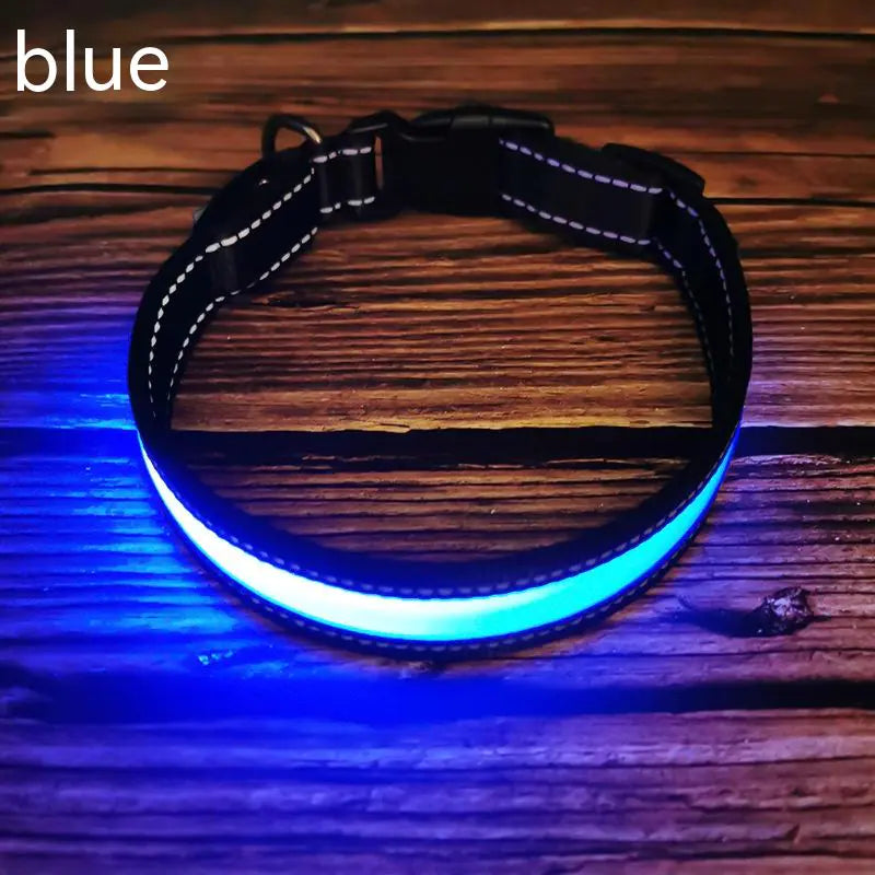 LED Dog Collar