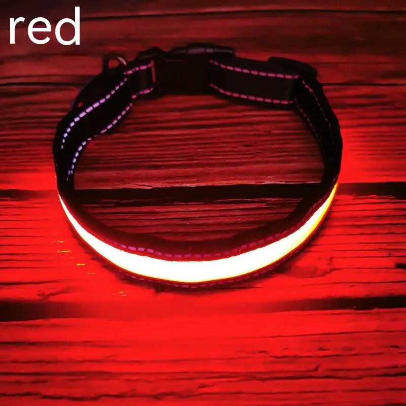 LED Dog Collar