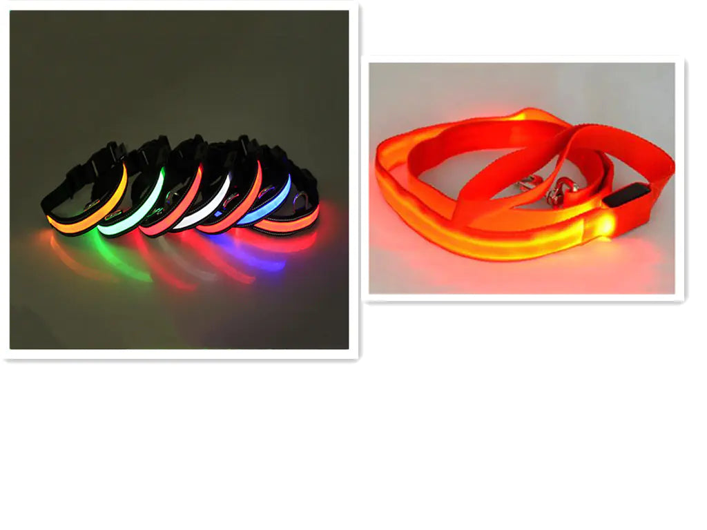 LED Dog Leash
