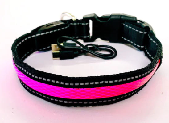 LED Dog Leash
